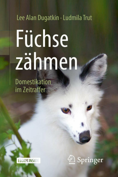 Füchse zähmen: Domestikation im Zeitraffer