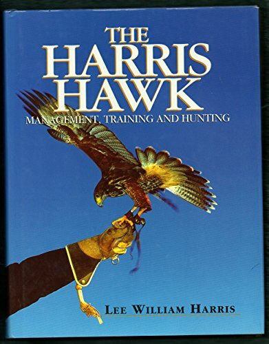 The Harris Hawk: Management, Training and Hunting