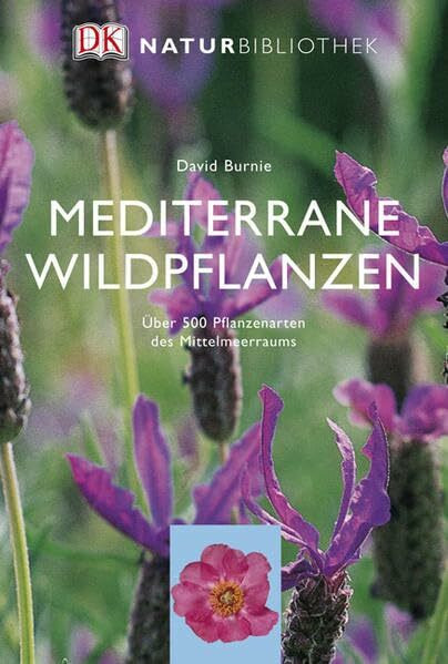 Mediterrane Wildpflanzen: Über 500 Pflanzenarten des Mittelmeerraums