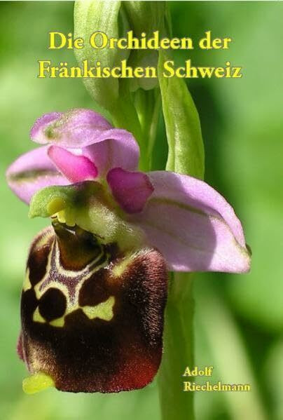 Die Orchideen der Fränkischen Schweiz (Schriftenreihe des Fränkische-Schweiz-Vereins: Die Frankische Schweiz - Landschaft und Kultur)