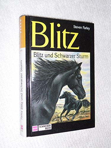 Blitz, Bd.15, Blitz und Schwarzer Sturm