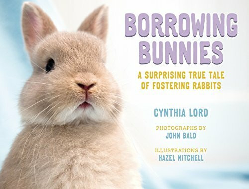 Farrar, Straus & Giroux Inc Borrowing Bunnies, A Surprising True Tale Of Fostering Rabbits