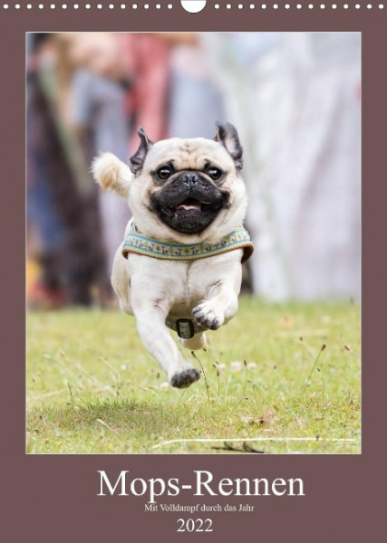 Mops-Rennen (Wandkalender 2022 DIN A3 hoch)