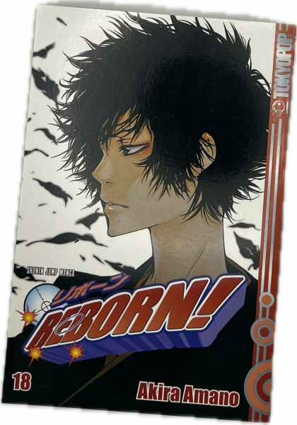 Reborn! 18: Version V. R.