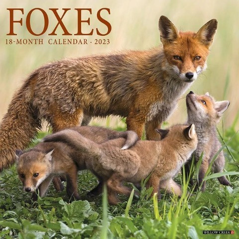 Foxes 2023 Wall Calendar