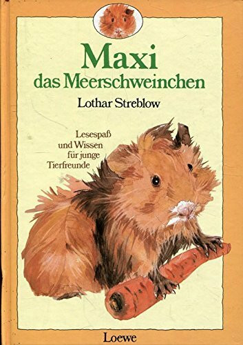Maxi, das Meerschweinchen