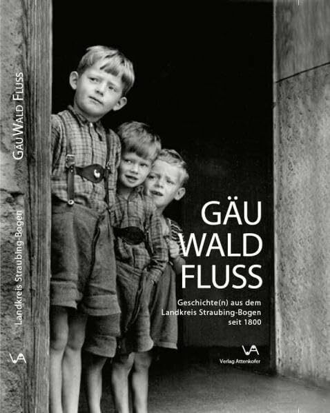 Gäu, Wald, Fluss: Geschichte(n) aus dem Landkreis Straubing-Bogen seit 1800