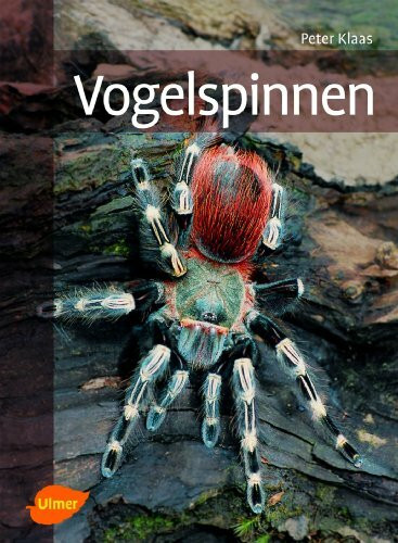 Vogelspinnen