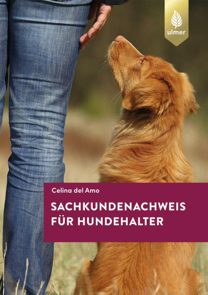 Sachkundenachweis für Hundehalter: So bestehen Sie den Hundeführerschein