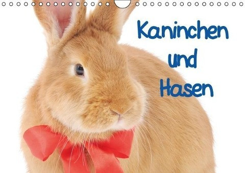 Kaninchen und Hasen (Wandkalender immerwährend DIN A4 quer)