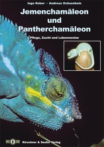 Jemenchamäleon und Pantherchamäleon: Pflege, Zucht und Lebensweise