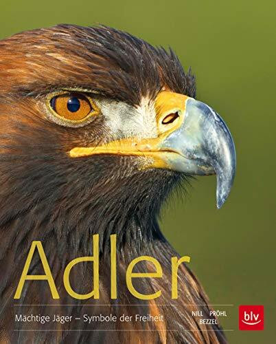 Adler: Mächtige Jäger - Symbole der Freiheit