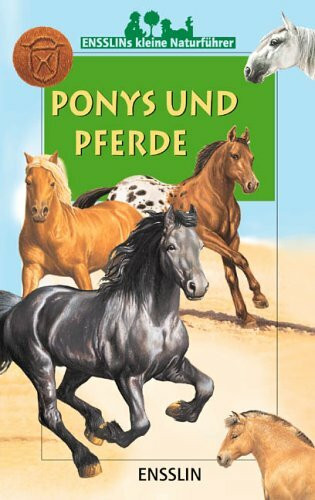 Ponys und Pferde