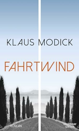 Fahrtwind: Roman