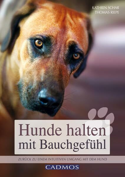 Hunde halten mit Bauchgefühl: Zurück zu einem intuitiven Umgang mit dem Hund
