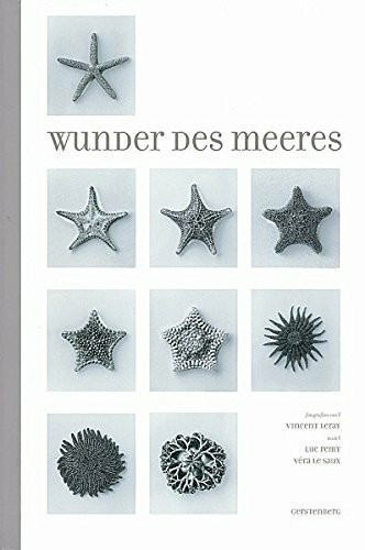 Wunder des Meeres