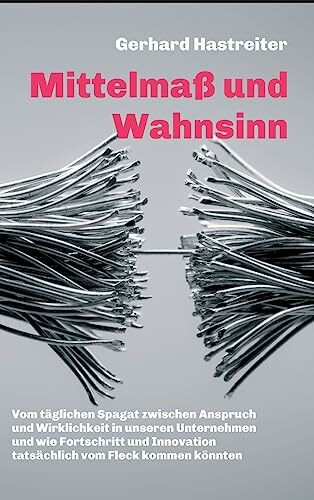 Mittelmaß und Wahnsinn: Vom täglichen Spagat zwischen Anspruch und Wirklichkeit in unseren Unternehmen und wie Fortschritt und Innovation tatsächlich vom Fleck kommen könnten