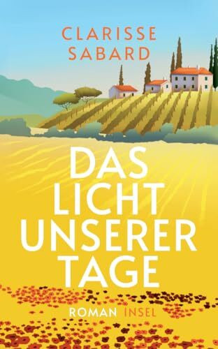 Das Licht unserer Tage: Roman | Die perfekte Urlaubslektüre für den Sommer (insel taschenbuch)