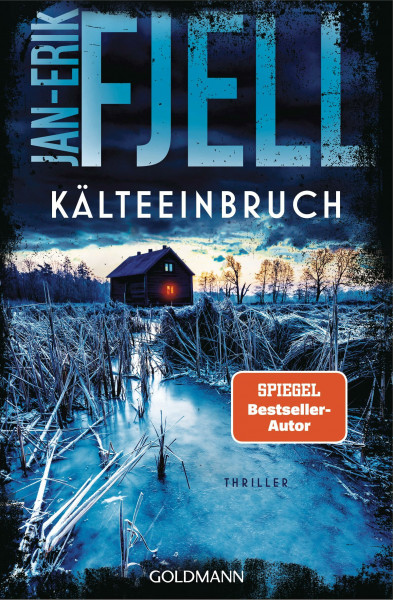 Kälteeinbruch: Thriller (Anton-Brekke-Reihe, Band 2)