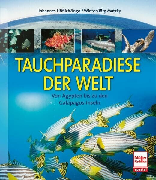 pietsch Tauchparadiese Der Welt, Von Ägypten Bis Zu Den Galápagos-Inseln