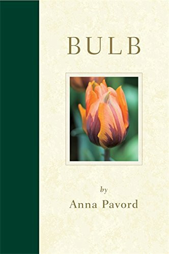 Bulb Bible
