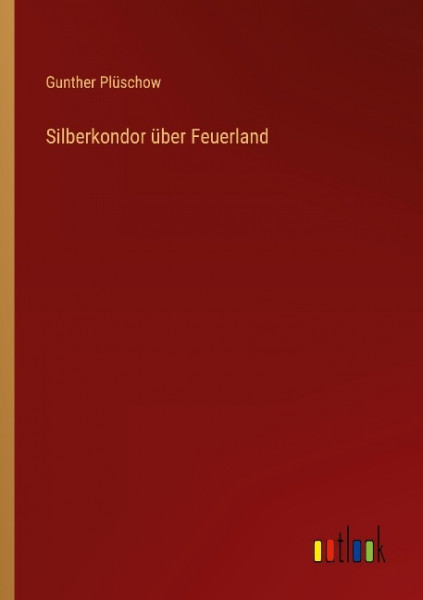 Silberkondor über Feuerland