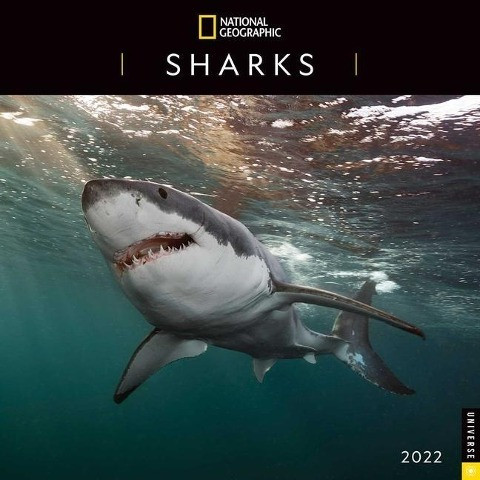 National Geographic: Sharks 2022 Wall Calendar