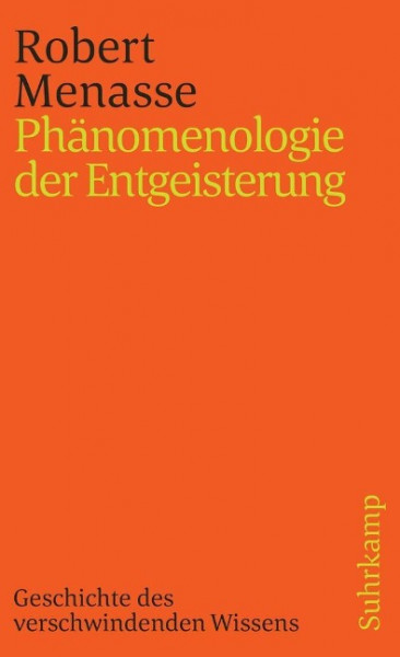 Phänomenologie der Entgeisterung