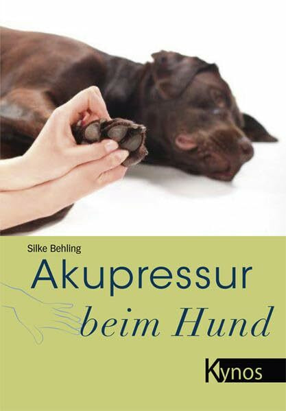 Akupressur beim Hund