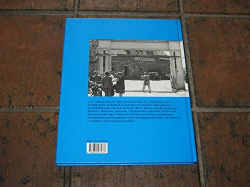Ein Leben aufs neu. Das Robinson- Album. DP- Lager: Juden auf deutschem Boden 1945- 1948