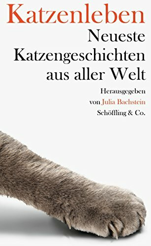 Katzenleben: Neueste Katzengeschichten aus aller Welt