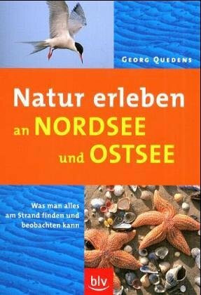 Natur erleben an Nord- und Ostsee: Was man alles am Strand finden und beobachten kann