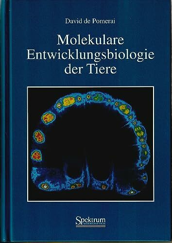 Molekulare Entwicklungsbiologie der Tiere