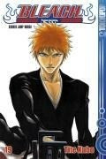 Bleach 19