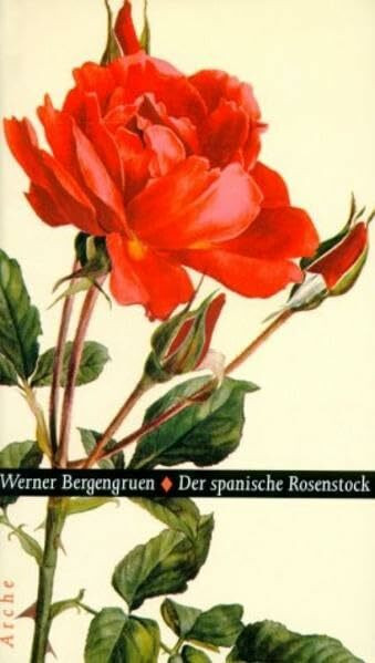 Der spanische Rosenstock: Novelle