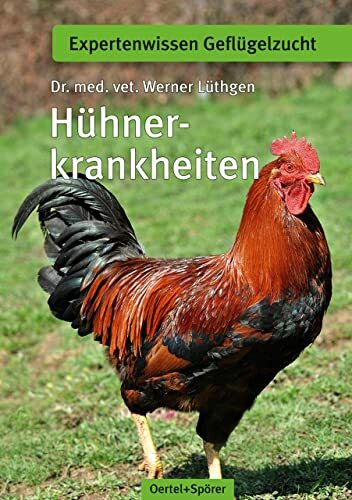 Hühnerkrankheiten: Expertenwissen Geflügelzucht