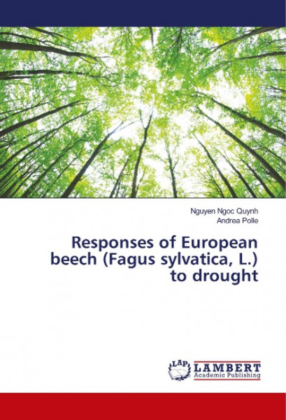 Responses of European beech (Fagus sylvatica, L.) to drought