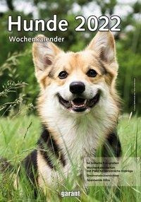 Hunde 2022 Wochenkalender