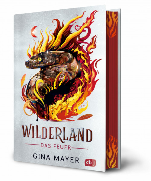 Wilderland – Das Feuer: Actiongeladene Fantasy ab 11 Jahren - Mit Farbschnitt (Die Wilderland-Reihe, Band 2)