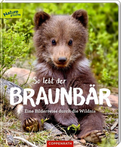 So lebt der Braunbär