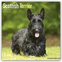 Scottish Terriers - Scottish Terrier 2022 - 18-Monatskalender mit freier DogDays-App