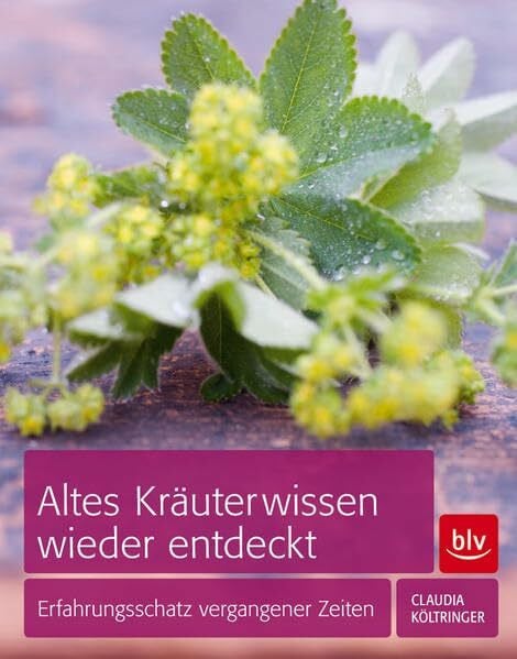 Altes Kräuterwissen wieder entdeckt: Erfahrungsschatz vergangener Zeiten
