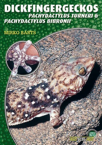 Dickfingergeckos: Pachydactylus turneri & Pachydactylus bibronii (Buchreihe Art für Art Terraristik)