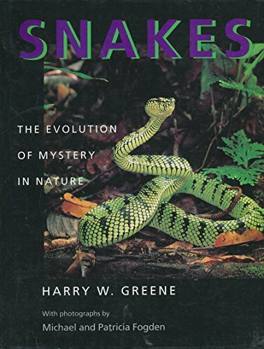 Snakes: The Evolution of Mystery in Nature