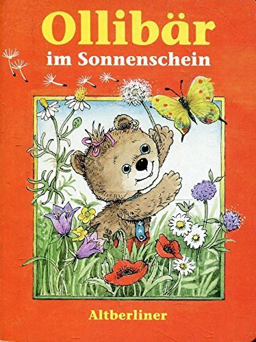 Ollibär im Sonnenschein