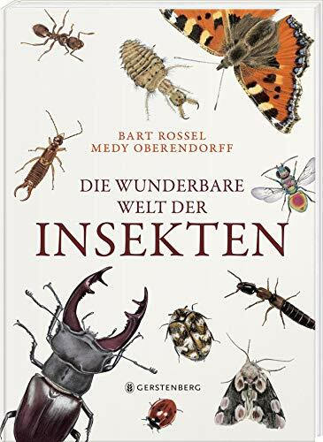 Die wunderbare Welt der Insekten