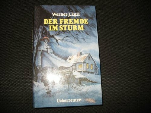 Der Fremde im Sturm