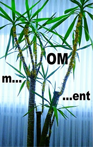 m...OM...ent: Das Leben nach dem spirituellen Burnout