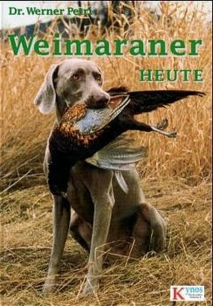 Weimaraner heute (Das besondere Hundebuch)