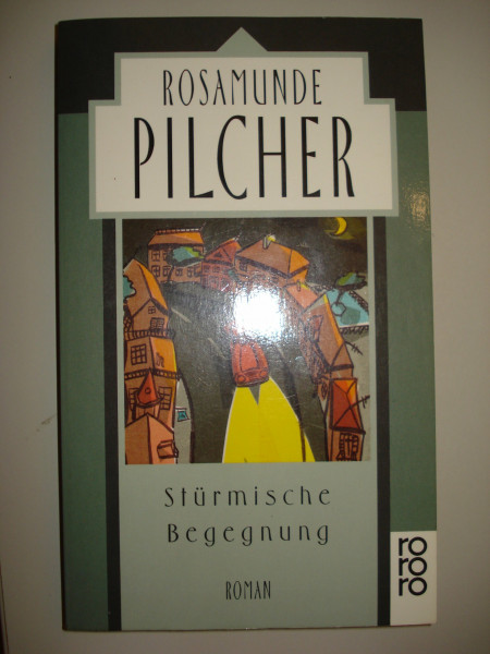 Stürmische Begegnung: Roman